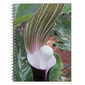 ムカゴトラノオの花 ノートブック (正面)