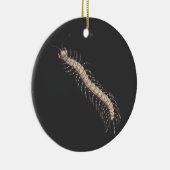 ムカデオーナメント セラミックオーナメント (右)