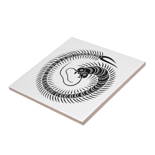 ムカデ環 タイル (側面)