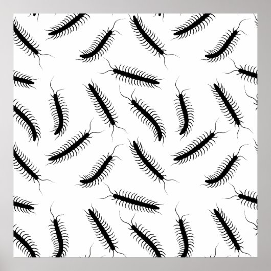 ムカデ ポスター (正面)