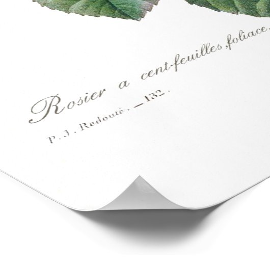 ムカ病 ポスター (角)