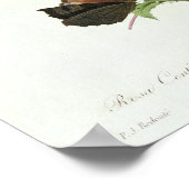 ムカ病 ポスター (角)