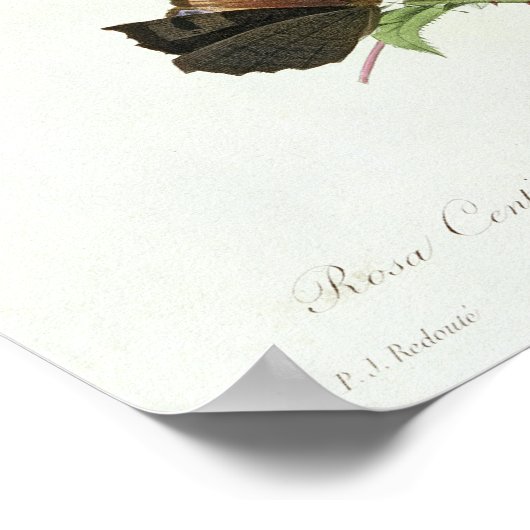 ムカ病 ポスター (角)