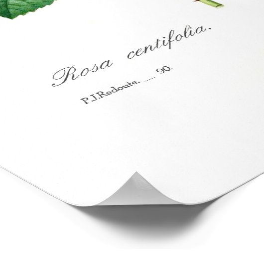 ムカ病 ポスター (角)