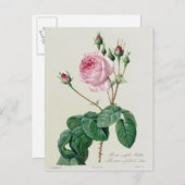 ムカ病 ポストカード (正面/裏面)