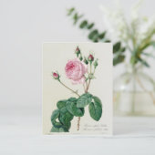 ムカ病 ポストカード (スタンド正面)