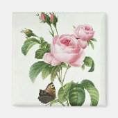 ムカ病 マグネット (正面)