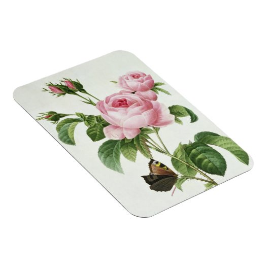 ムカ病 マグネット (右側)