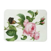 ムカ病 マグネット (横)