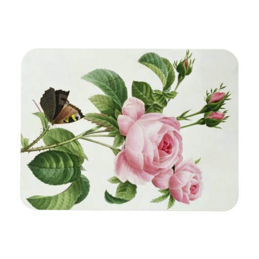 ムカ病 マグネット (横)