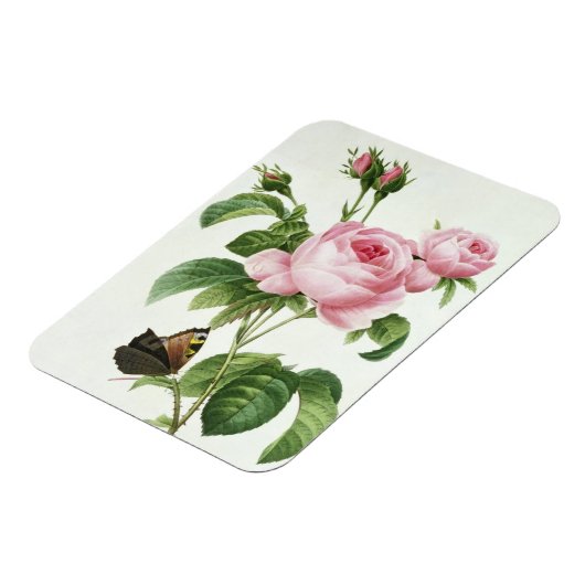 ムカ病 マグネット (左側)