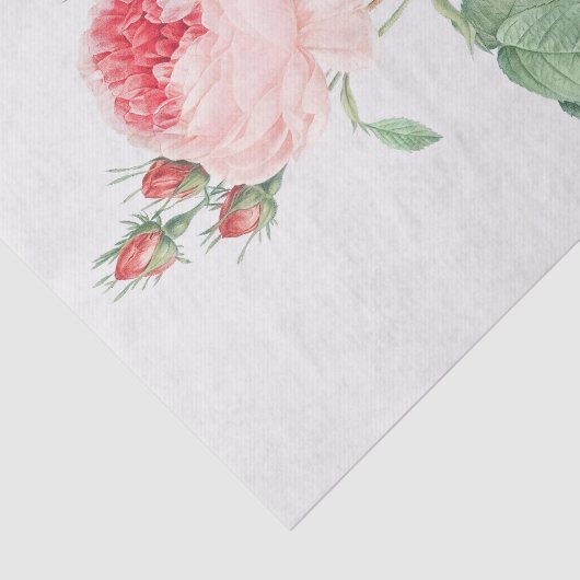 ムカ病 薄葉紙 (詳細)