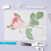 ムカ病 薄葉紙 (クラフト)