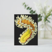 ムキドキ ポストカード (スタンド正面)