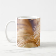 ムギの分野11のozのクラシックで白いマグ