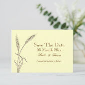 ムギの国の保存日付#2 セーブザデート (スタンド正面)