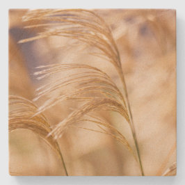 ムギの砂岩コースターの分野 ストーンコースター