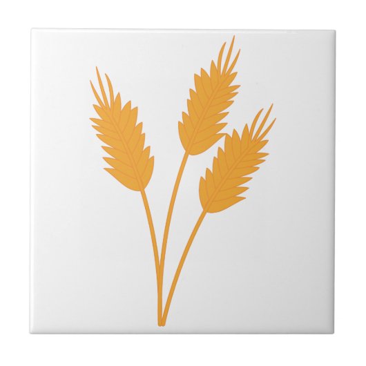 ムギの茎 タイル (正面)