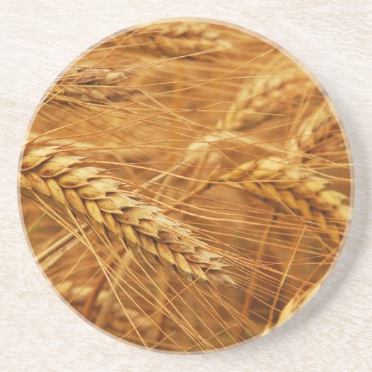 ムギ コースター (正面)