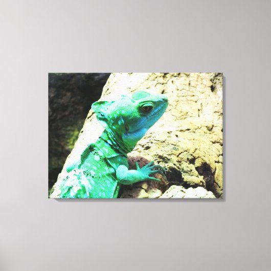 ムクロウカカゲ爬虫類 キャンバスプリント (正面)