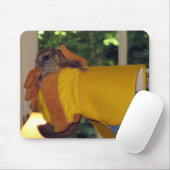 ムササビ マウスパッド (マウス)