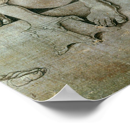 ムシウス・スカエヴェラ ポスター (角)