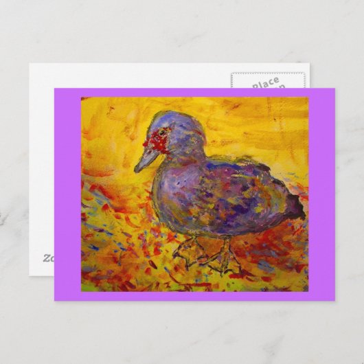 ムシガモ ポストカード (正面/裏面)