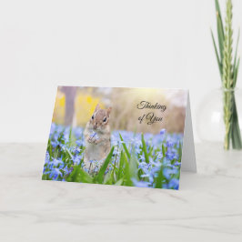 ムシクの想い出カード（中身は空白） カード