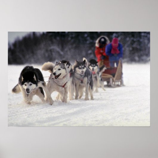 ムシュ ポスター (正面)