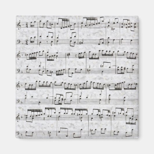 ムシー マグネット (正面)