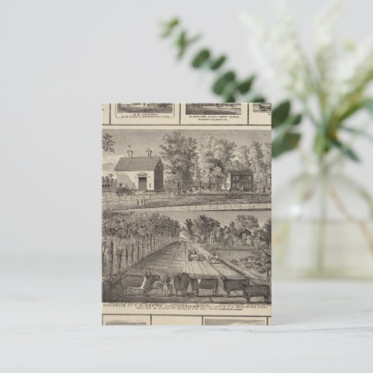 ムスカチンのレジデンスとビジネス ポストカード (スタンド正面)