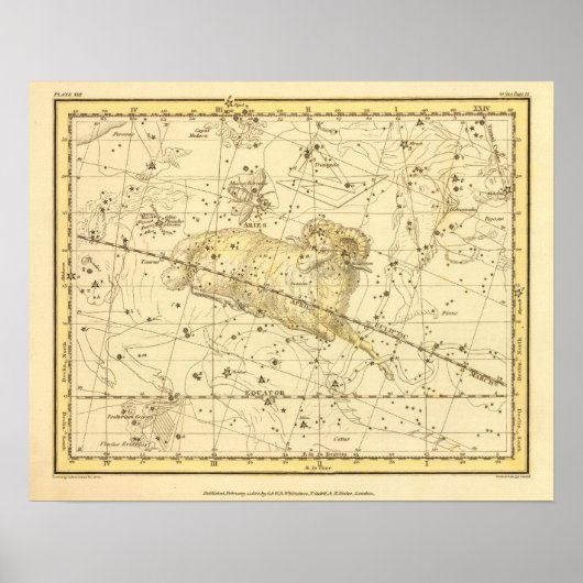 ムスカボレアリス・アリー ポスター (正面)