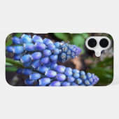 ムスカリ アルメニアカム , 葡萄風信子と雨滴 iPhoneケース (裏面横)