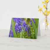 ムスカリ カード (黄色い花)