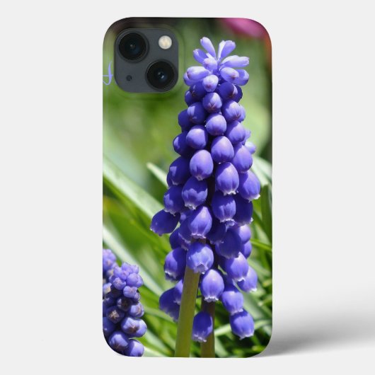 ムスカリ（グレープハイアシンス）iPadケース Case-Mate iPhoneケース (裏面)