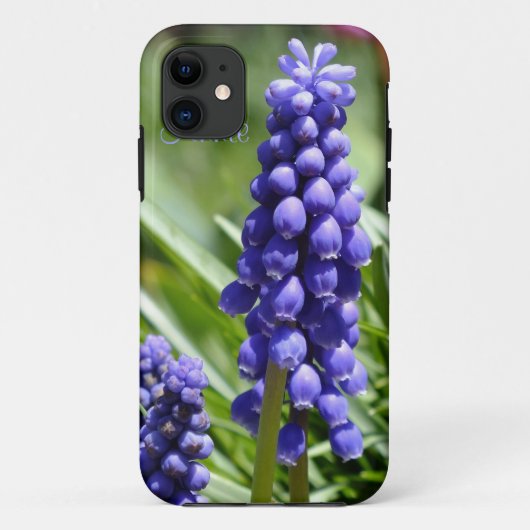 ムスカリ(グレープヒヤシンス) iPhone 5ケース Case-Mate iPhoneケース (裏面)