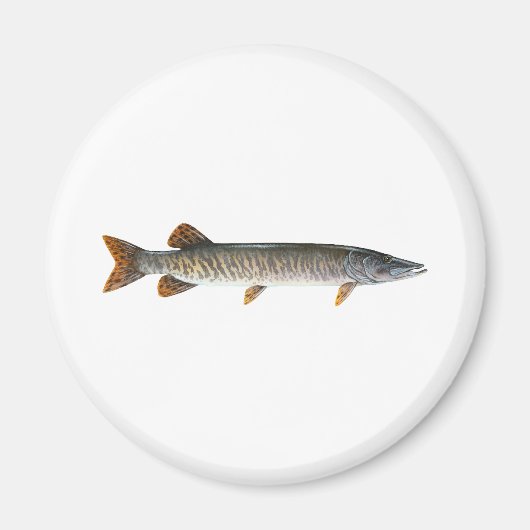 ムスキー語 – Muskellunge マグネット (正面)