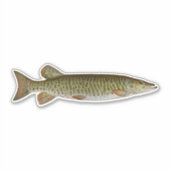 ムスキー – 淡水魚釣り シール (正面)