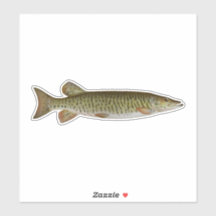 ムスキー – 淡水魚釣り