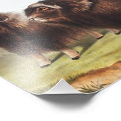 ムスクオックス（オヴィボス・モシャタス）イラストレーション フォトプリント            (角)