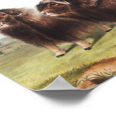 ムスクオックス（オヴィボス・モシャタス）イラストレーション ポスター (角)