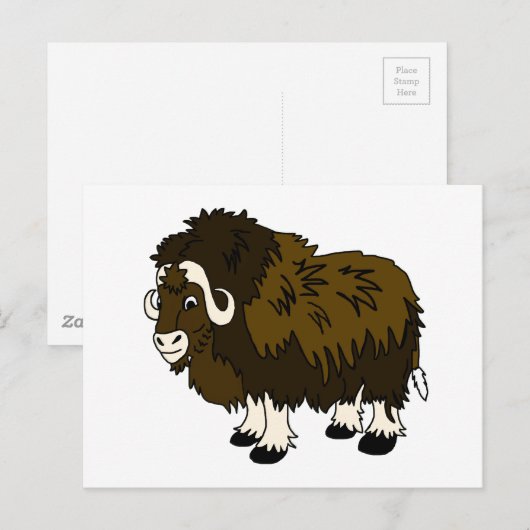 ムスクオックス ポストカード (正面/裏面)