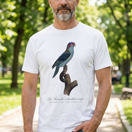 ムスクロリキット, Trichoglossus Concinnus Tシャツ