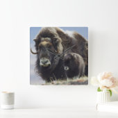 ムスク牛（ふくらはぎ） スクエア壁時計 (ホーム)