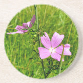 ムスク コースター (正面)