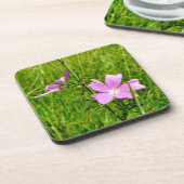 ムスク コースター (左側)