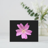 ムスク ポストカード (スタンド正面)