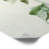 ムスク・マロウ， 18世紀 ポスター (角)