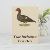 ムスコビダックチョコレート 招待状 (スタンド正面)