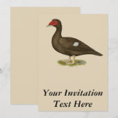 ムスコビダックチョコレート 招待状 (正面/裏面)